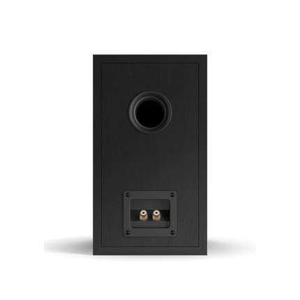 Рафтови тонколони DALI OBERON 1