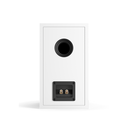 Рафтови тонколони DALI OBERON 1