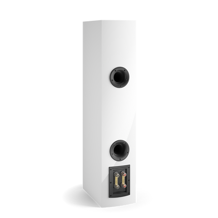 Подови тонколони DALI RUBICON 6