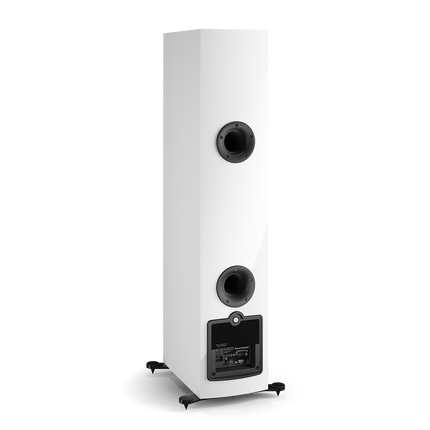 Активни колони DALI RUBICON 6 C