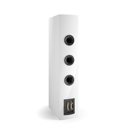 Подови тонколони DALI RUBICON 8