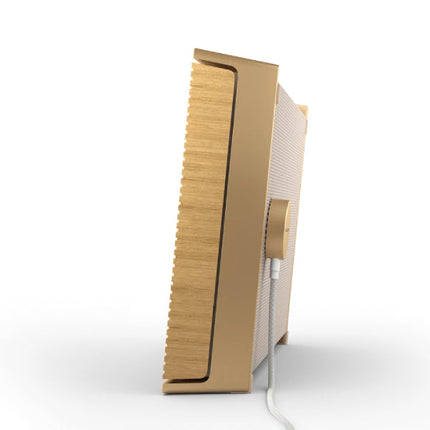 Високоговорител Bang & Olufsen Beosound Level