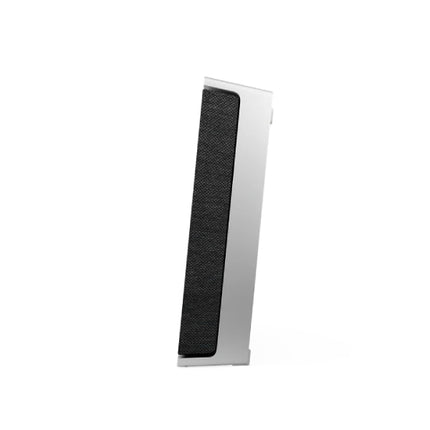Високоговорител Bang & Olufsen Beosound Level