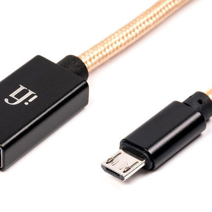 iFi Audio OTG USB C адаптерен кабел