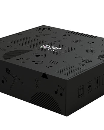 EverSolo DAC-Z8