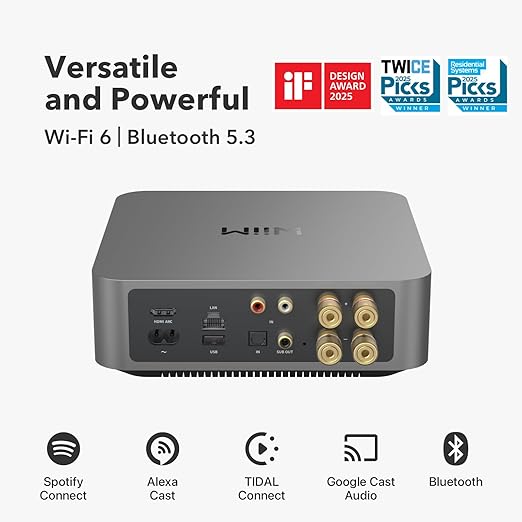 Wiim Amp Pro стерео усилвател