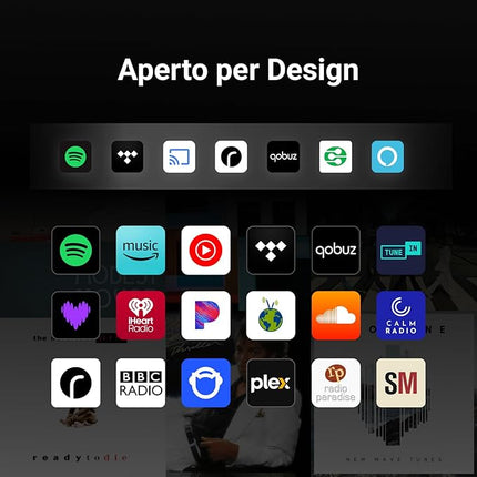 Boxa activa WiiM Sound