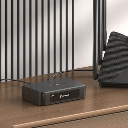 Streamer Arylic LP10