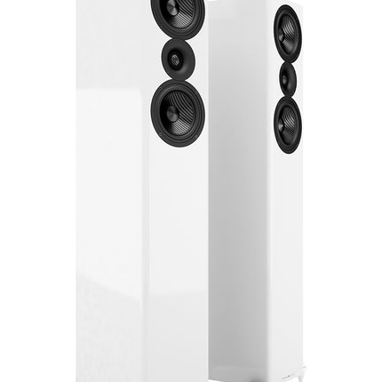 Подови високоговорители Acoustic Energy AE509