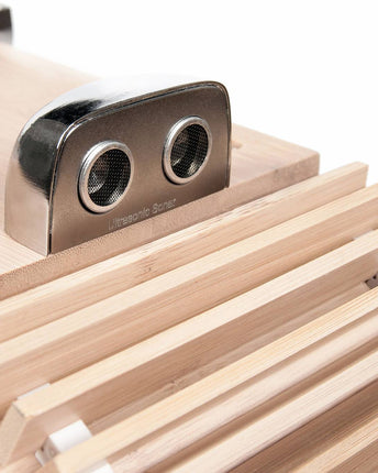 iFi Audio Aurora активен високоговорител