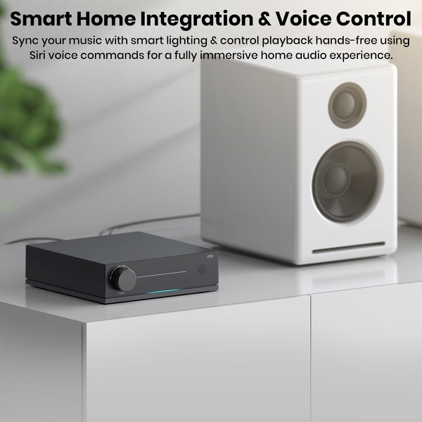 Streamer Arylic LP20