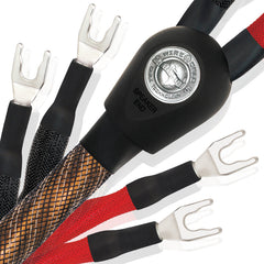 Collection image for: WireWorld