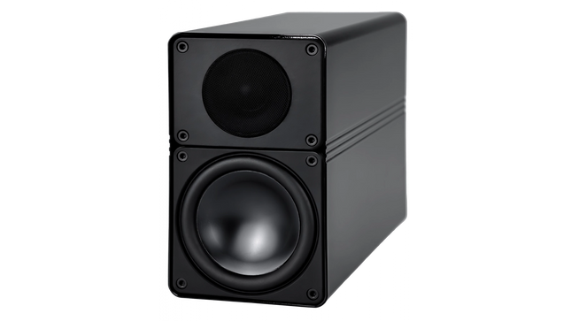 Boxe de raft Elac Elegant BS 305
