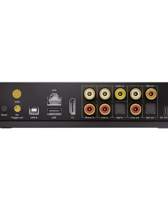 Arylic LP100