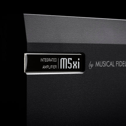 Musical Fidelity M5xi, detaliu de conectică