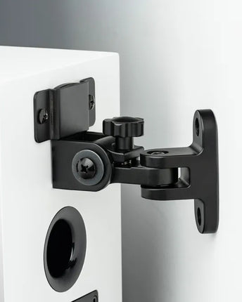 Boxe de raft Pro-Ject Speaker Box 5 E Carbon