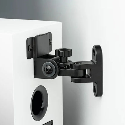 Boxe de raft Pro-Ject Speaker Box 5 E Carbon