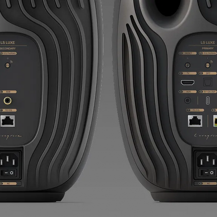 Panourile de conexiuni LS Luxe — HDMI eARC, optică, coaxială, AUX, SUB și Ethernet