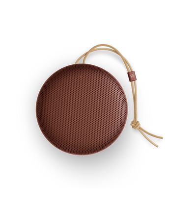 Bang & Olufsen Beosound A1 3rd Gen