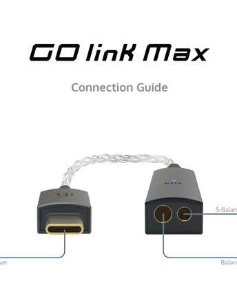 iFi Audio GO link Max