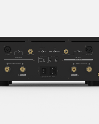 EverSolo AMP-F10