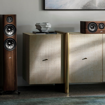 Polk Audio RESERVE R300 Maro
