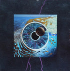 Disc vinil PINK FLOYD - PULSE (180G AUDIOPHILE PRESSING) - LP4