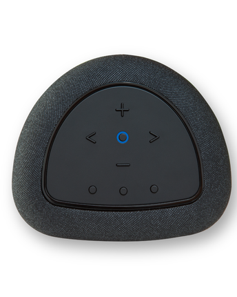 Boxe active Bluesound PULSE Flex