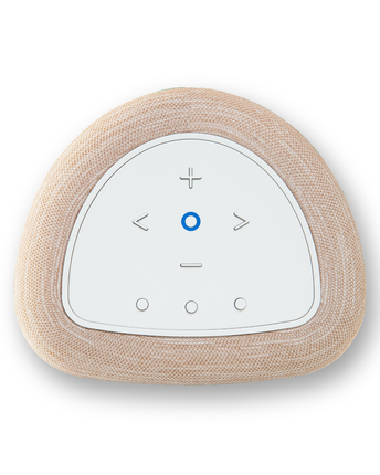 Boxe active Bluesound PULSE Flex