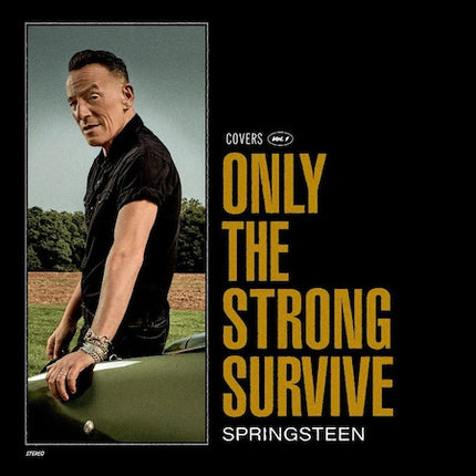 Винил BRUCE SPRINGSTEEN - ONLY THE STRONG SURVIVE (SONY) - LP2