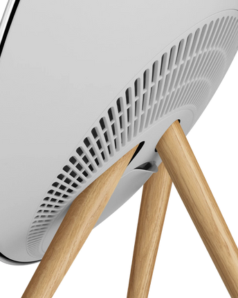 Bang &amp; Olufsen Beosound A9 5-то поколение WiFi високоговорител, Multiroom