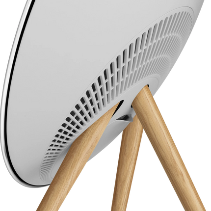 Bang &amp; Olufsen Beosound A9 5-то поколение WiFi високоговорител, Multiroom