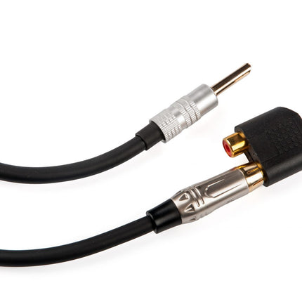 iFi Audio Groundhog+