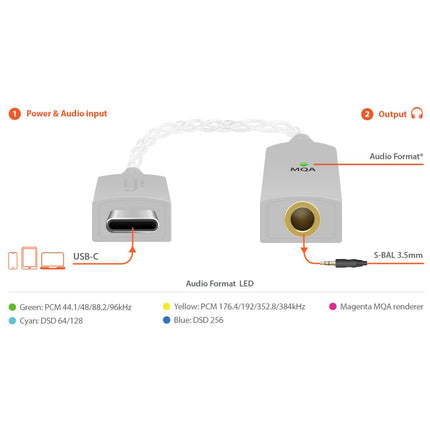 iFi Audio GO Link DAC