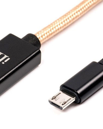 iFi Audio OTG USB C адаптерен кабел