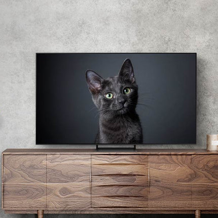 OLED телевизор Samsung 65S90CA, 163 см, Smart, 4K Ultra HD, клас F