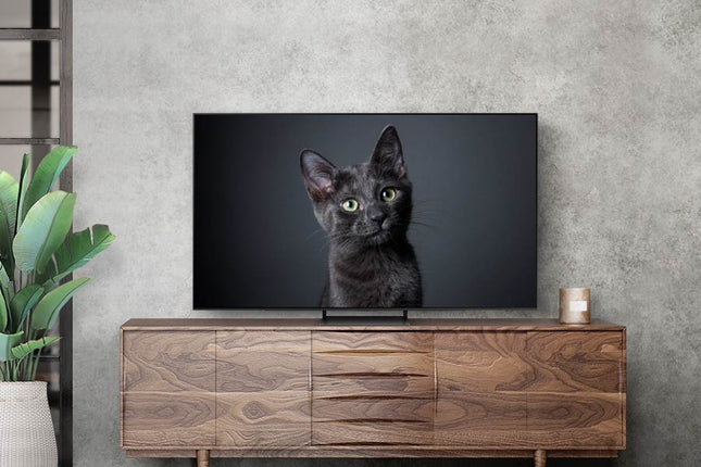 OLED телевизор Samsung 65S90CA, 163 см, Smart, 4K Ultra HD, клас F