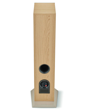Тонколони Focal Theva N2