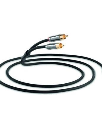 QED Performance Graphite J2P кабел, 3,5 mm - 2 x RCA
