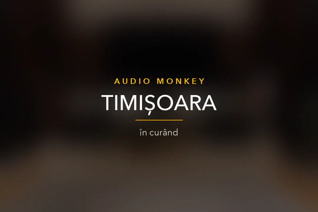Шоурум Audio Monkey Тимишоара (очаквайте скоро)